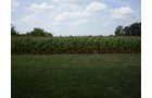 Property photo 7 - 40 Acres in 4 Tracts - Great Location!